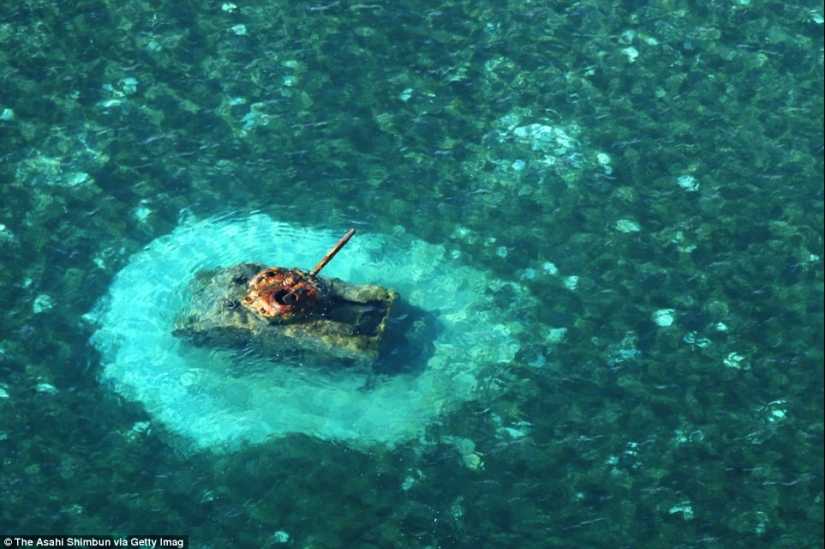 War Machines of the Second World War, lost on distant islands in the Pacific Ocean