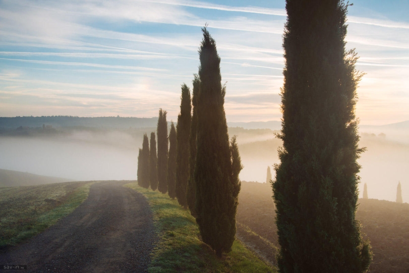 Warm autumn in Tuscany