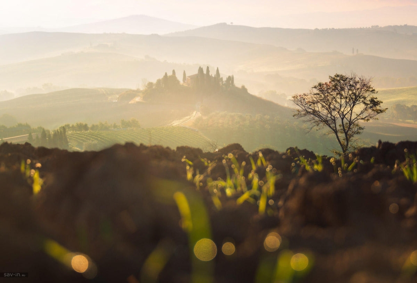 Warm autumn in Tuscany