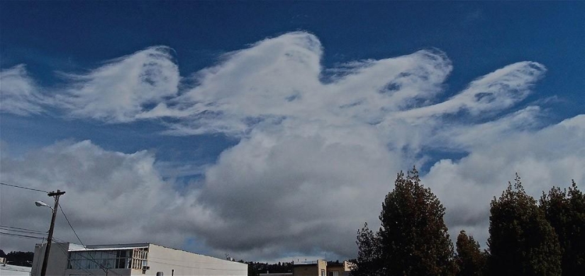 Wave-like Kelvin-Helmholtz clouds