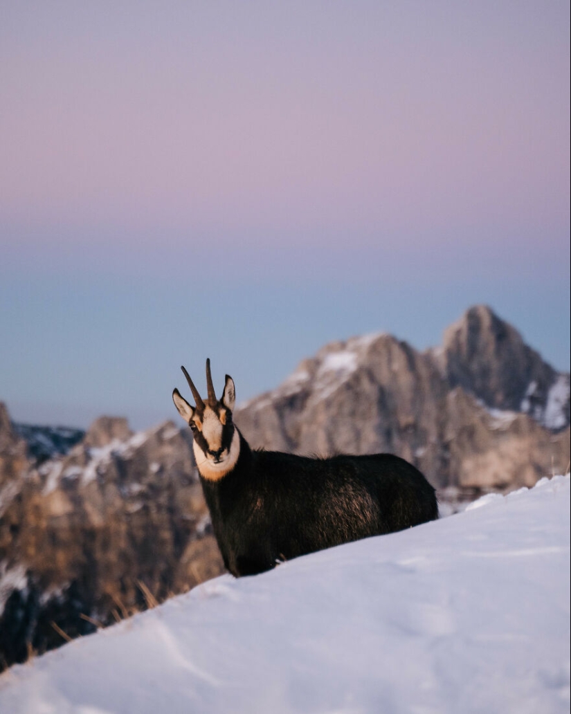 We Accomplished Our Goal Of Hiking 15 Peaks In One Year, And Here Are 39 Of My Favorite Landscape Shots Captured