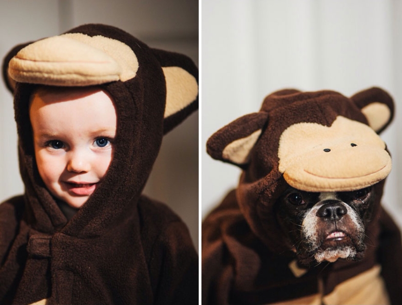 Well, a very sweet couple in a funny family photo project by Jesse Holland