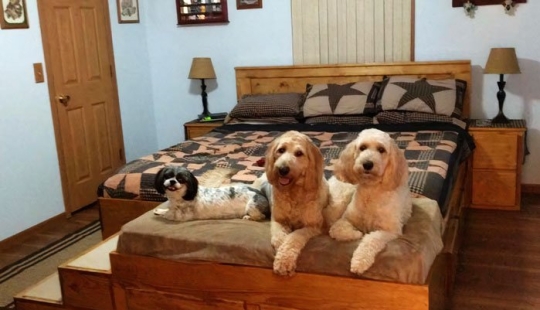 What does a special bed with a sleeping place for pets look like?