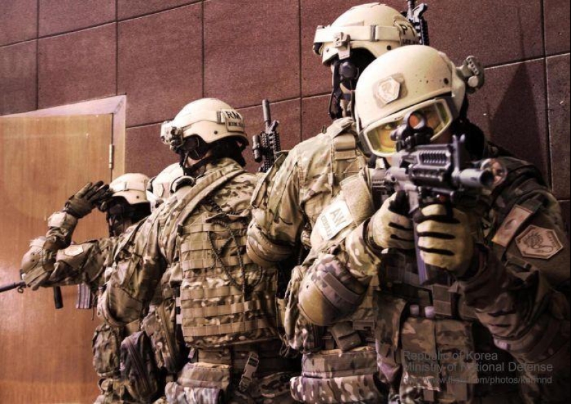 What does special forces look like in different countries