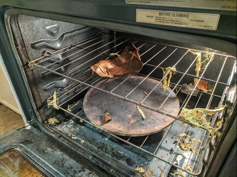 What’s One Of Your Most Significant Kitchen Fails?