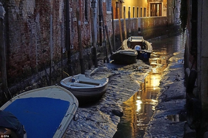 Where did the water from the canals in Venice go