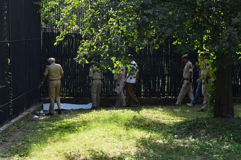 White tiger kills young man at Indian zoo