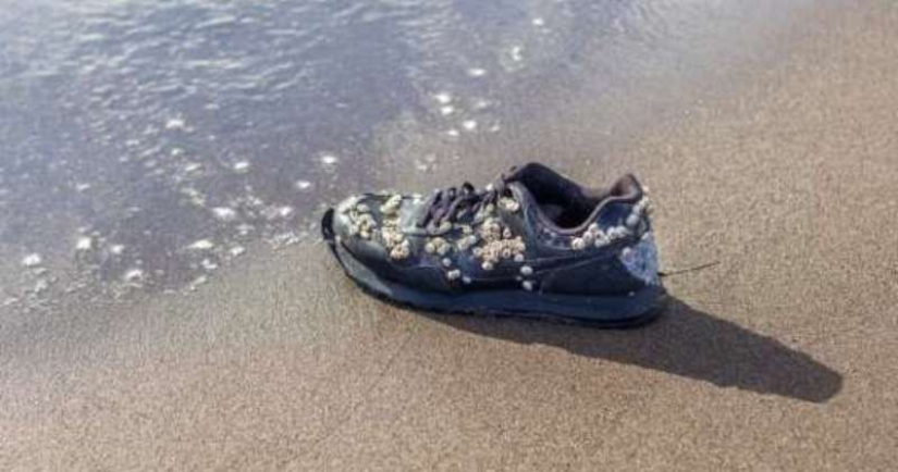 Why at the beach in Canada find sneakers with severed feet