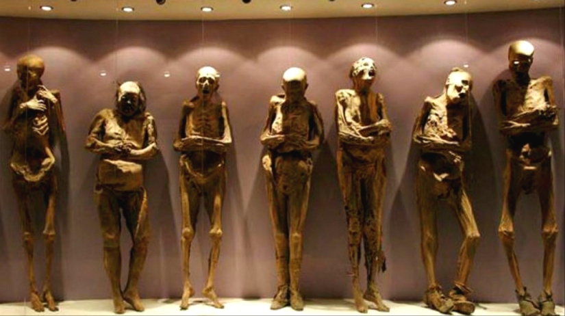Why did Europeans eat Egyptian mummies during the Middle Ages