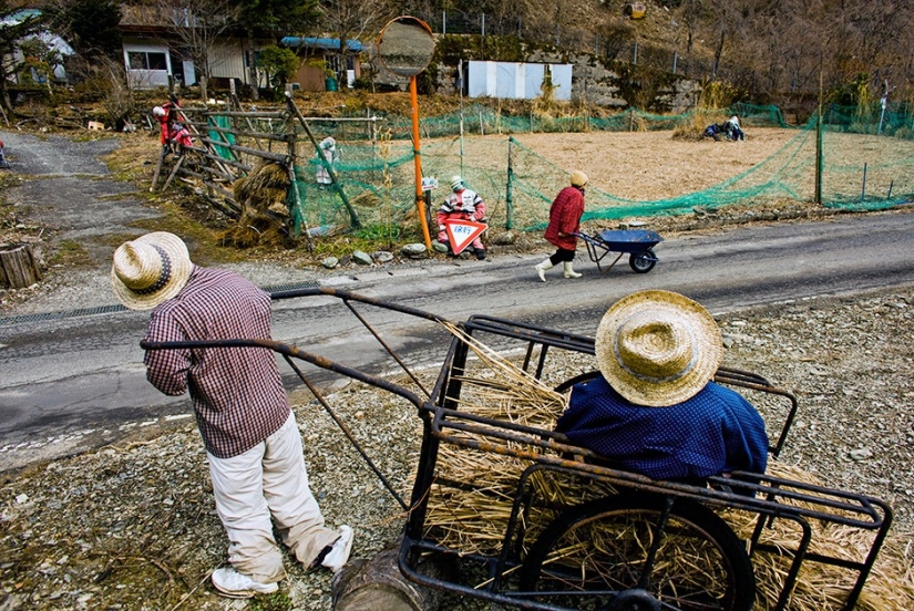 Why do 35 people and 150 stuffed animals live in a Japanese village?