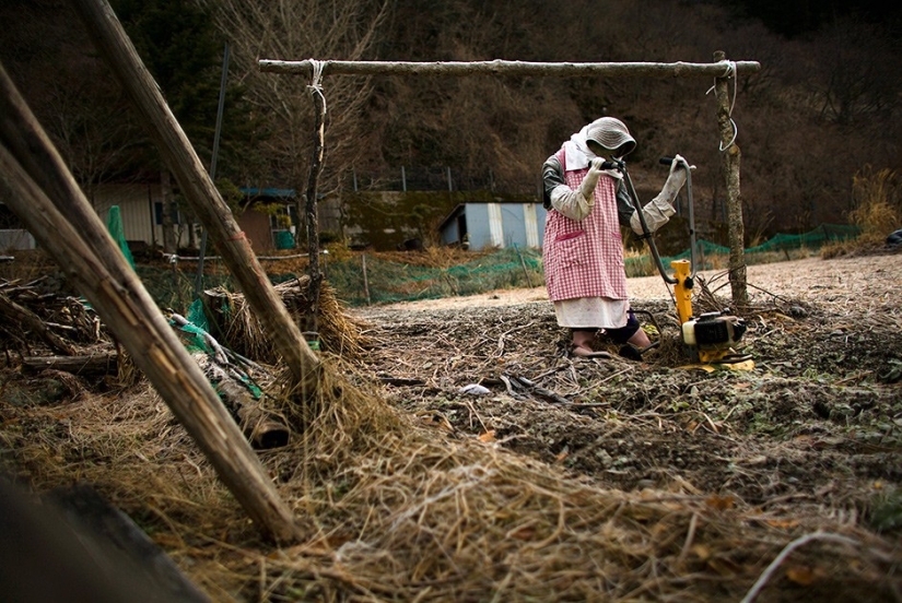 Why do 35 people and 150 stuffed animals live in a Japanese village?