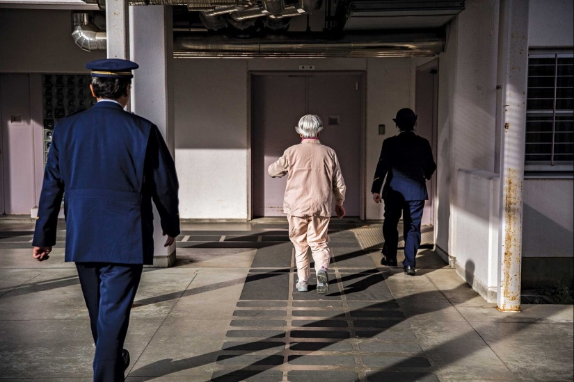 Why do elderly people in Japan intentionally commit minor crimes and want to go to prison