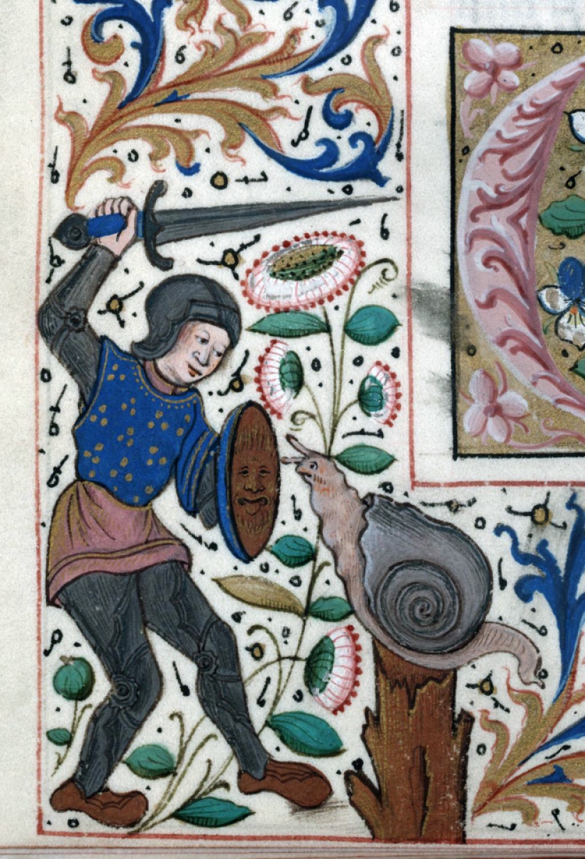 Why do medieval drawings show snails fighting knights?