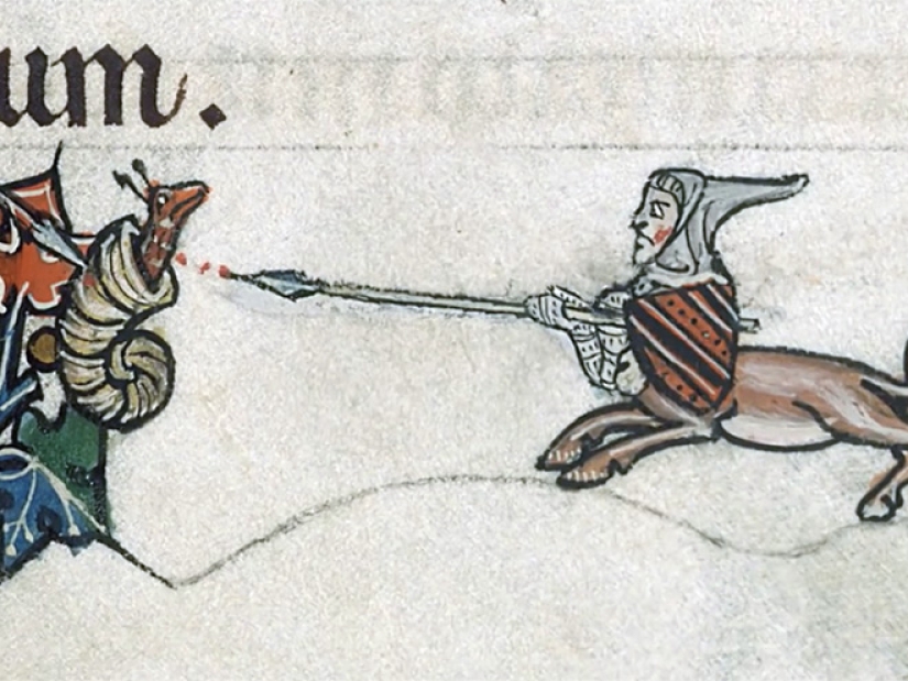 Why do medieval drawings show snails fighting knights?