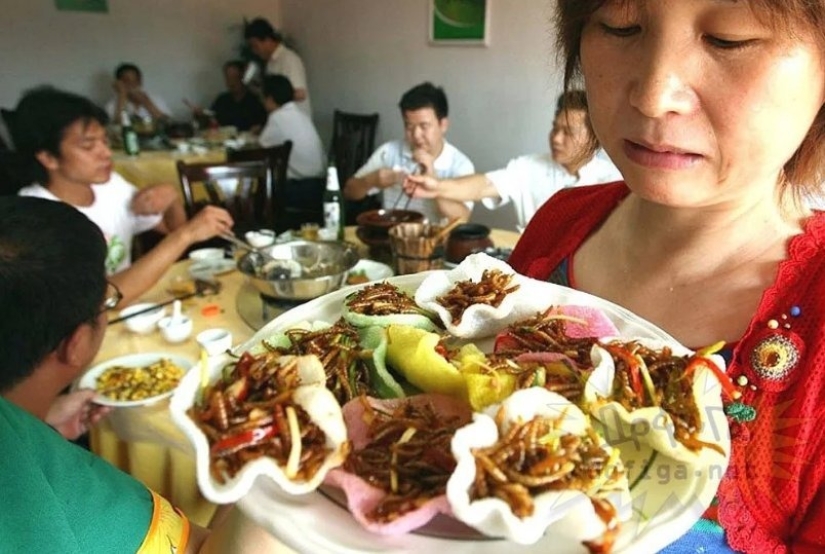 Why do the Chinese eat insects and "strange" foods that frighten civilized people