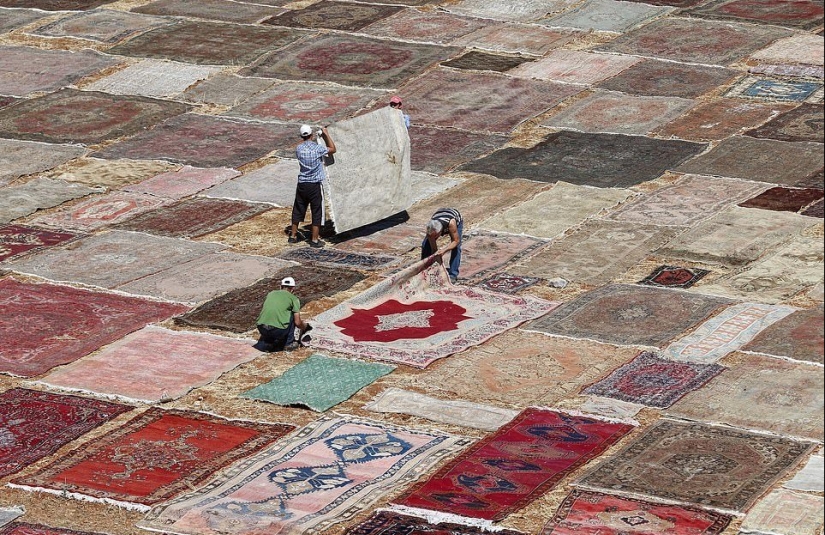 Why do the Turks lay out thousands of carpets in the fields?