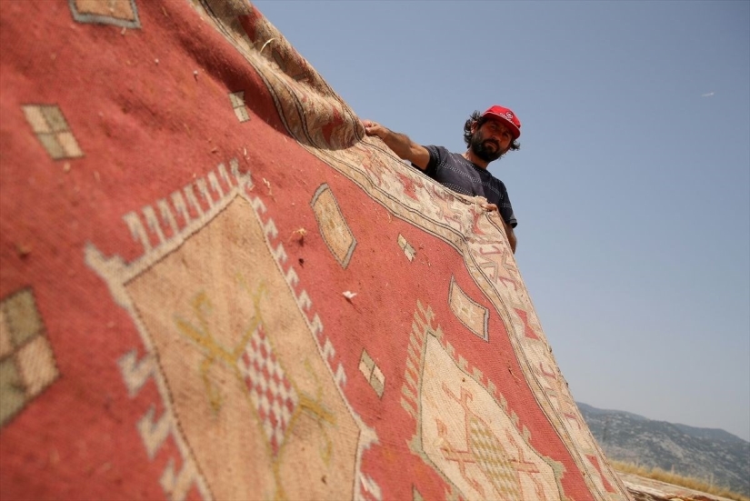 Why do the Turks lay out thousands of carpets in the fields?