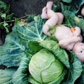 Why do they say that children are "found in cabbage"