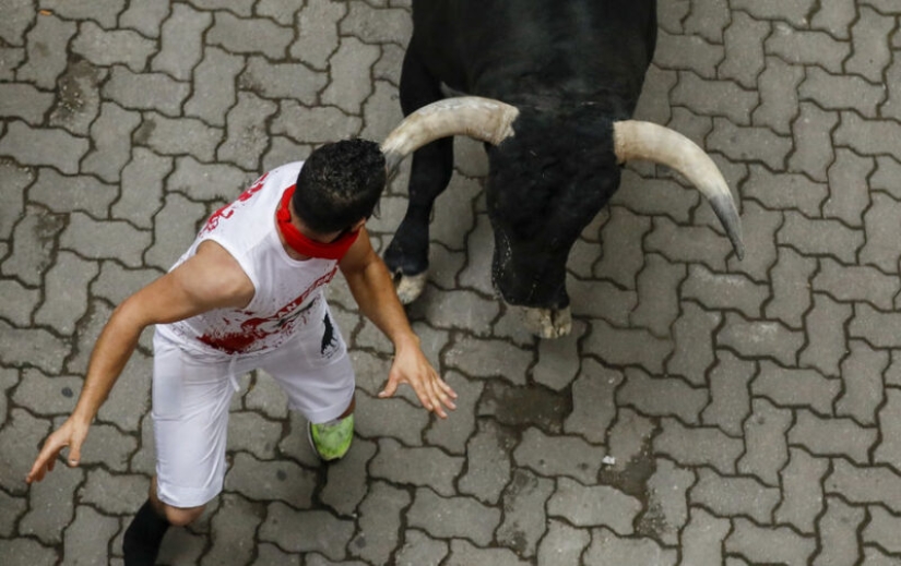 Why people in Spain run from bulls: the history of the San Fermin holiday in Pamplona