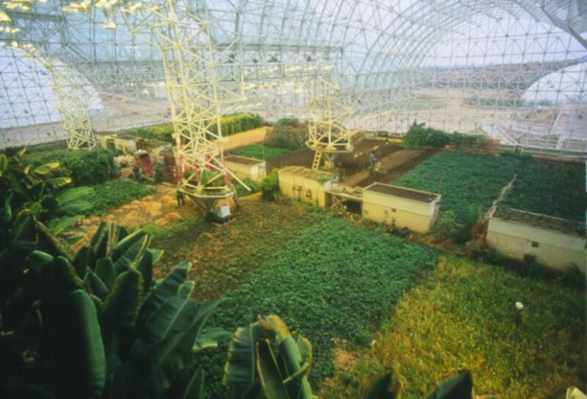 Why the American experiment "Biosphere-2" failed, which could change the world