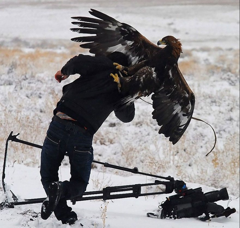 Why Wildlife Photographer is the best job in the world
