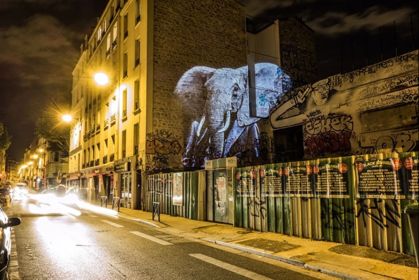 Wild Paris: el elegante safari urbano de Julien Nonnon