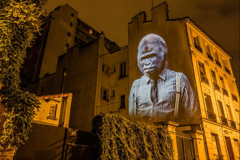 Wild Paris: el elegante safari urbano de Julien Nonnon