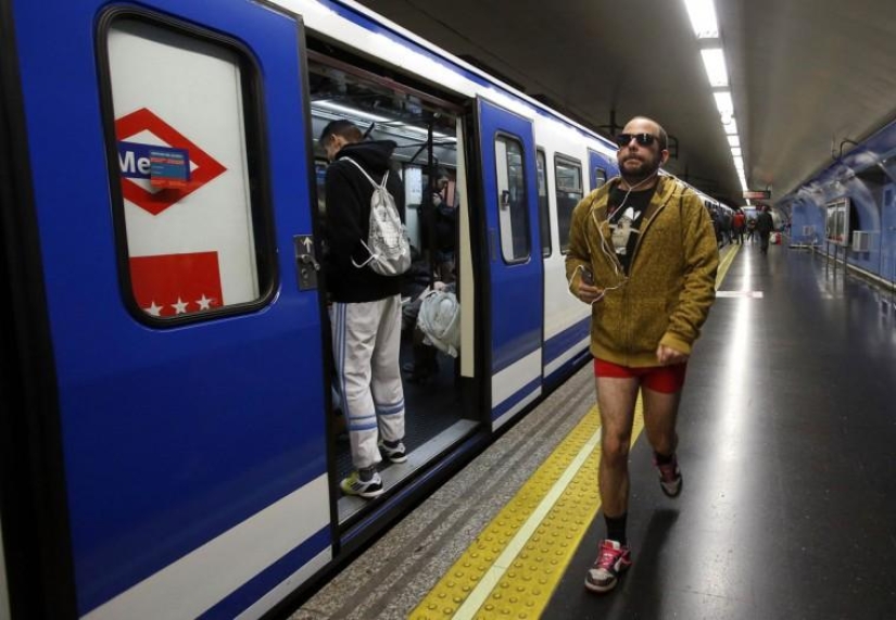 Without pants and shame: the brightest flash mob of this winter