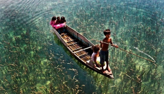 Without photoshop: the most successful photos of the past month