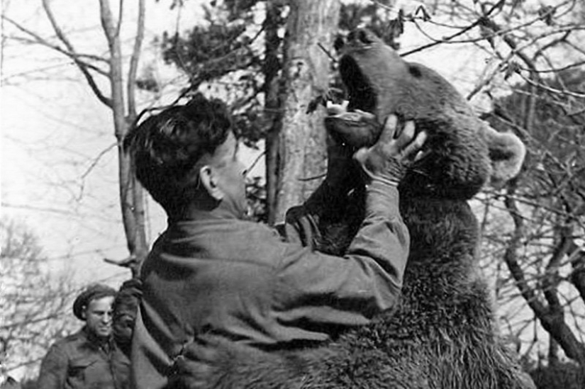 Wojtek: The Story of a Fighting Bear