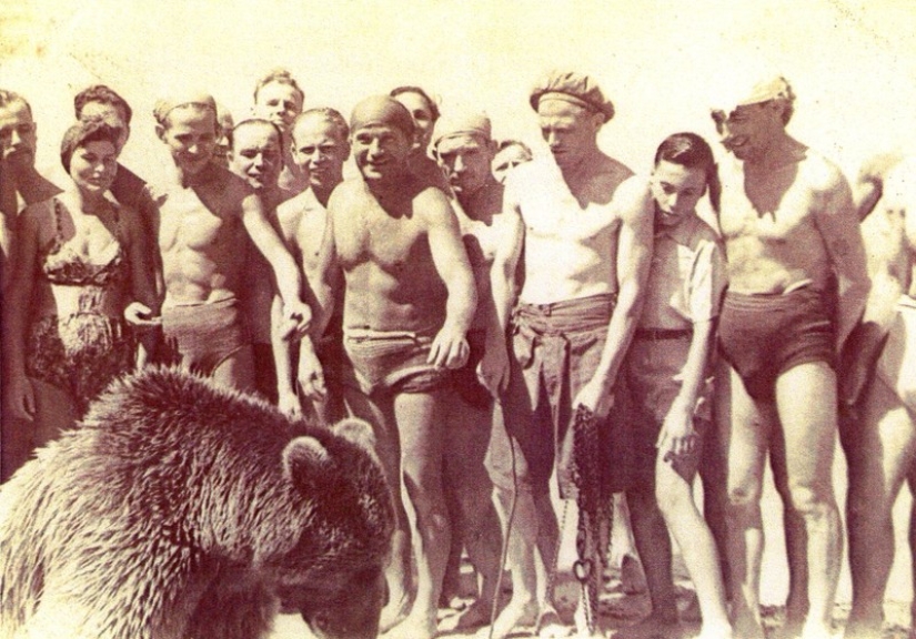 Wojtek: The Story of a Fighting Bear