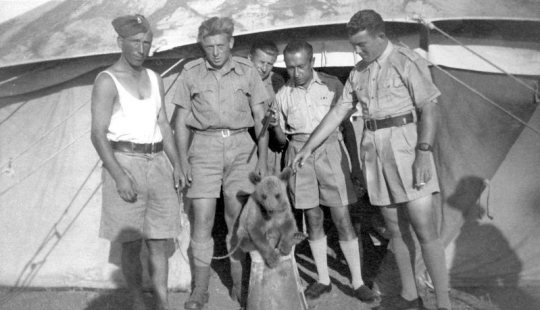 Wojtek: The Story of a Fighting Bear