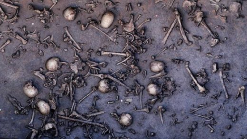 World war Bronze age: who won the first battle in European history