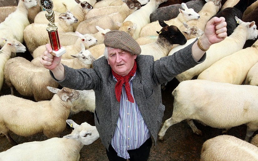 World&#39;s first sheep dung spitting competition