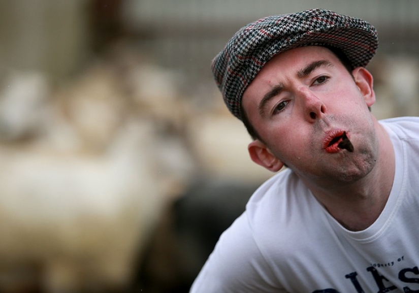 World&#39;s first sheep dung spitting competition