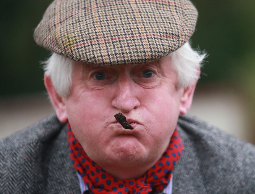 World&#39;s first sheep dung spitting competition