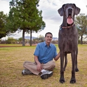 World's largest dog dies in US