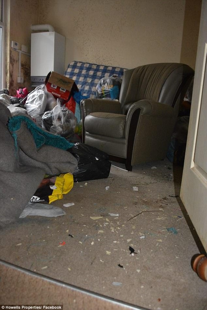 Worse than pigs: landlord got 5 thousand pounds for cleaning after untidy tenants