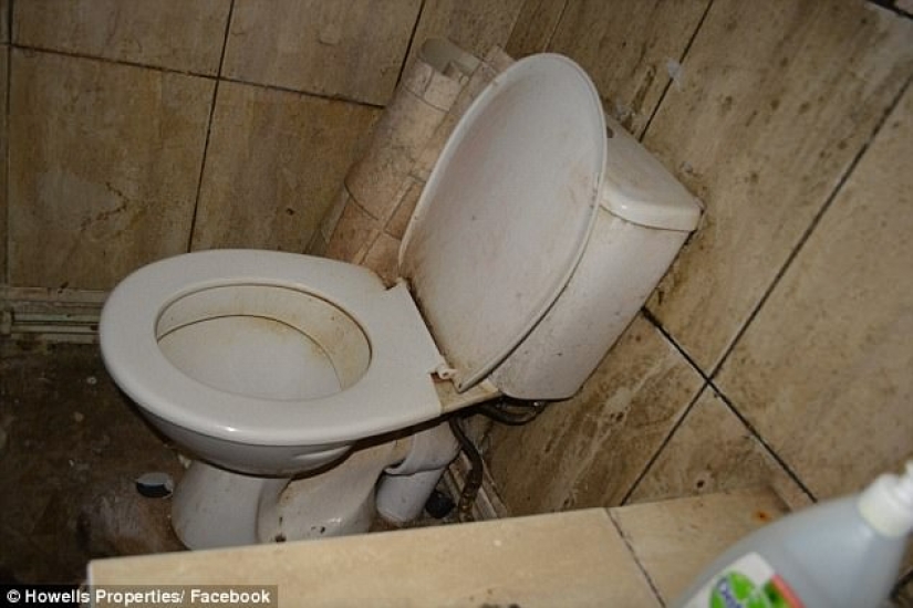 Worse than pigs: landlord got 5 thousand pounds for cleaning after untidy tenants