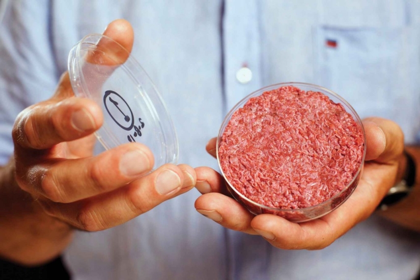 Would you eat that? Americans have grown meat in a test tube