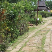 Y sucede limpiamente en la India: ¿cómo se observa la limpieza en el pueblo de Maulinnong