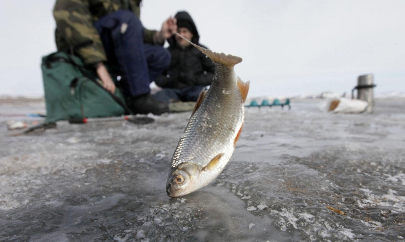 Year on the Yenisei River