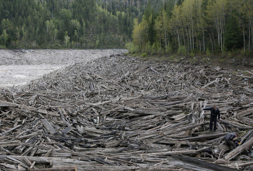 Year on the Yenisei River