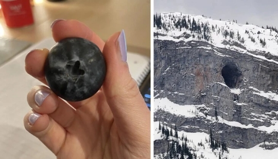 You definitely haven't seen this: 30 surprises from Mother Nature