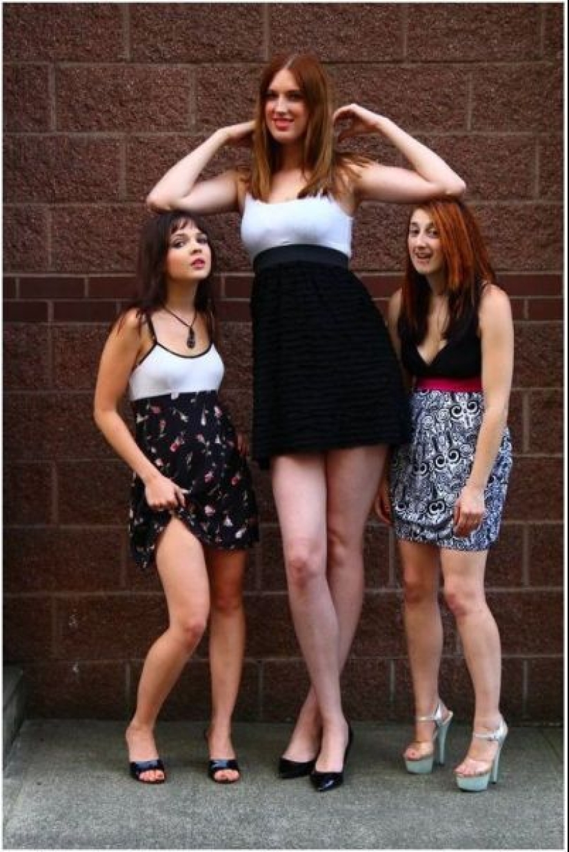 "You light bulb without a chair screwed?": the best photo and jokes about the high girls