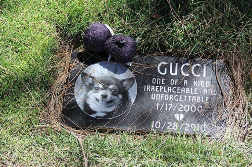 You&#39;ll Live Forever In Our Hearts: Los Angeles Pet Cemetery Photos