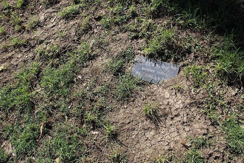 You&#39;ll Live Forever In Our Hearts: Los Angeles Pet Cemetery Photos