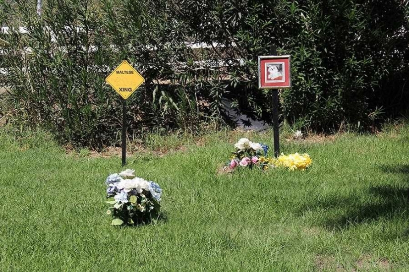 You&#39;ll Live Forever In Our Hearts: Los Angeles Pet Cemetery Photos