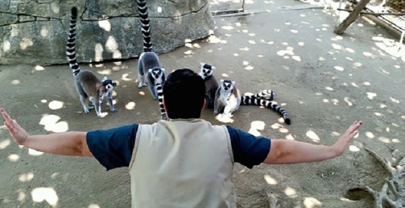 zoológico jurásico