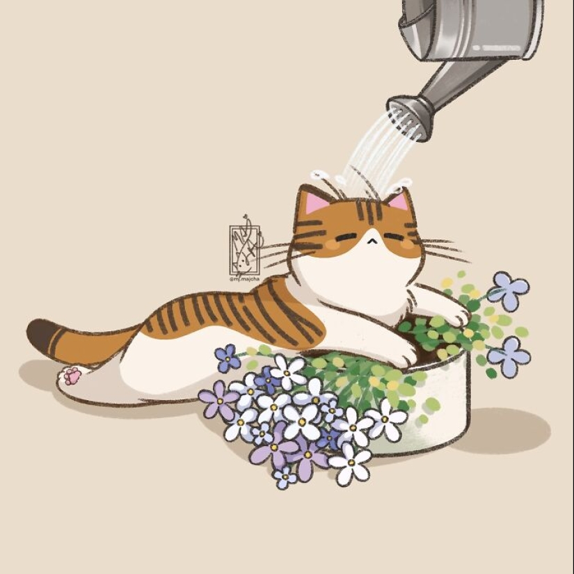 10 Adorable Cat Illustrations By This Artist That Are Taking Instagram By Storm